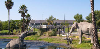 Ранчо Ла-Брея и Музей Пейджа